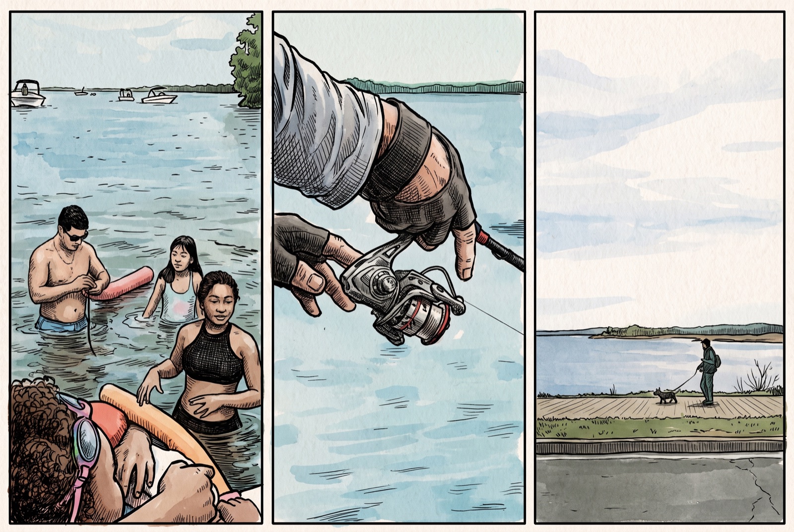Swimming, fishing, walking the dog: the everyday life we share with these animals at the water’s edge.